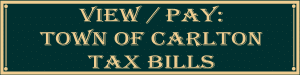 view pay town of carlton tax bills